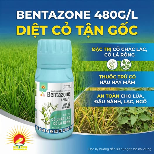 594967091_1434760725327188_7555437549911329971_n